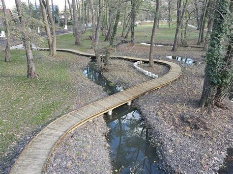 Drevený chodník cez mokraď