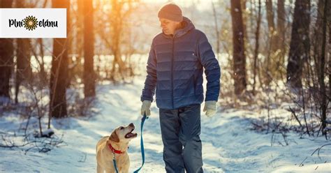 prehliadka bytu so psom