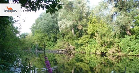 Panoráma Podunajskej nížiny s poľnohospodárskou krajinou