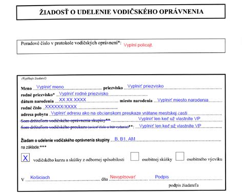 Ukážka vyplneného formulára žiadosti