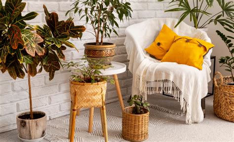 Fotografia jazera vo Vyšnej Kamenici počas jesene