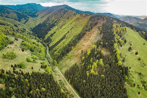 Ilustrácia lesného pozemku s rôznymi typmi porastov