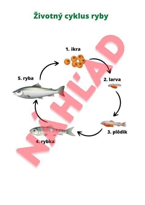 Diagram zobrazujúci životný cyklus stavby