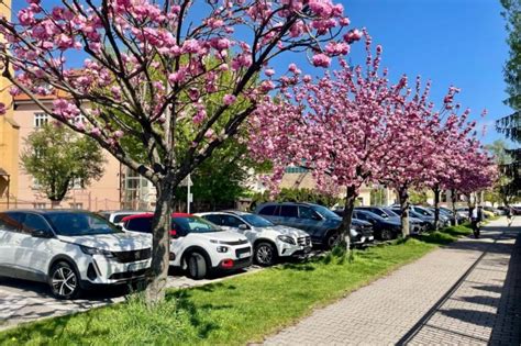 Ulica Južná v Nitre