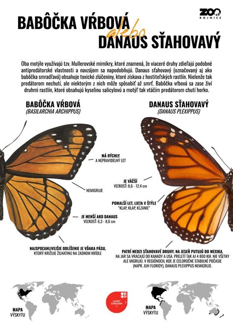 Infografika: Rozdiel medzi zálohovým predpisom a ročným vyúčtovaním