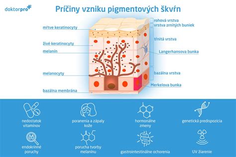 Schematické znázornenie produkcie melanínu a telesnej vône