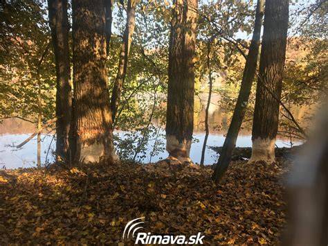 Fotografia prírodnej scenérie v okolí Drienka