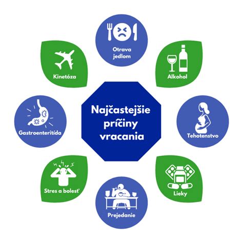 Infografika zobrazujúca rôzne aspekty domova ako bezpečného prístavu