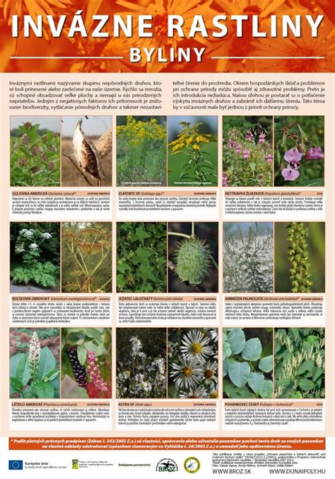 Ilustrácia rôznych druhov liečivých rastlín nachádzajúcich sa v oblasti