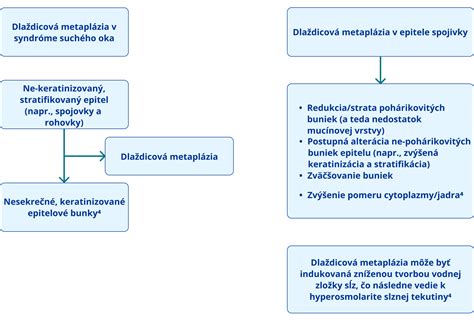 Diagram zobrazujúci proces registrácie zamestnanca