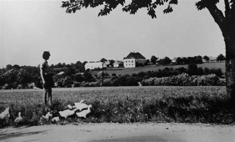 Fotografia prírodného prostredia vo Veľkých Bedzanoch