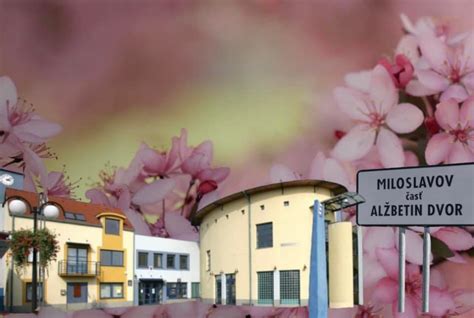 Mapa Miloslavova s vyznačenou časťou Alžbetin Dvor