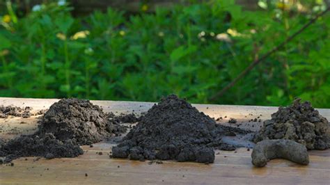 Infografika zobrazujúca minimálnu a maximálnu dobu nájmu a maximálnu výmeru pre rôzne typy pôdy