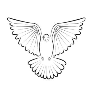 Symbol holubice mieru a mapka sveta