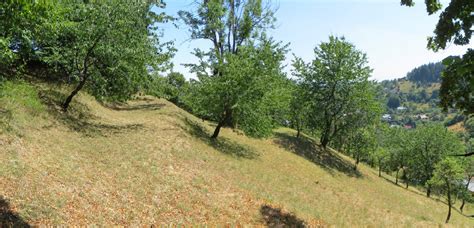 Fotografia tajchu Klinger s lesným okolím