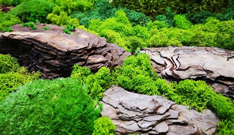 Ukážka rôznych druhov prírodného kameňa