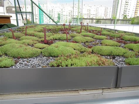 Ilustrácia extenzívnej vegetačnej strechy