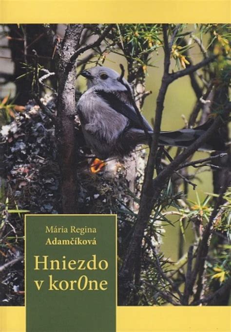 Hniezdo žltochvosta domového v ľudskej stavbe
