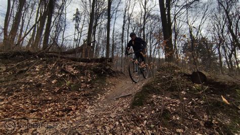 Cyklista na lesnej ceste v okolí Bratislavy