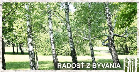Brezový háj v Nitre