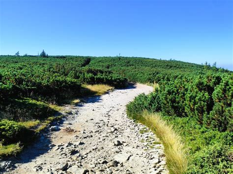 Letná turistická trasa na hrebeni Oravských Beskýd