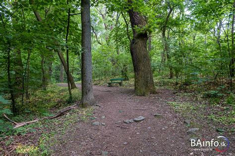 Študentský domov Horský park v Bratislave