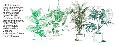 Ilustrácia rôznych revíznych správ a certifikátov