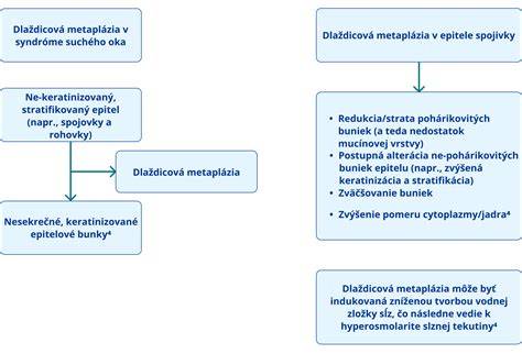 Diagram zobrazujúci proces kolaudácie stavby