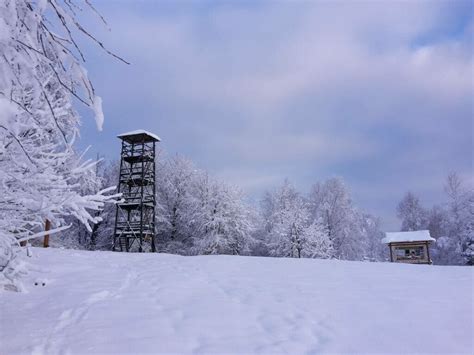 Rozhľadňa pri Klinskom rašelinisku