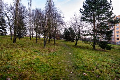 Fotografia zelene a oddychových zón v Podunajských Biskupiciach
