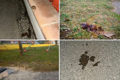 Značka upozorňujúca na povinnosť odstraňovať psie výkaly