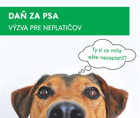 Infografika porovnávajúca daň za psa v rôznych bratislavských mestských častiach