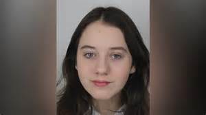 Rekonštrukcia Dolného Kubína po požiari