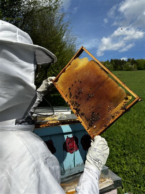 Schematické znázornenie doletu včiel od úľa