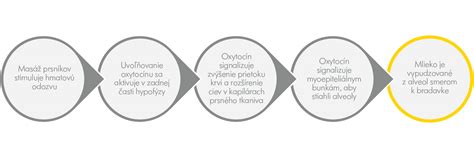 Ilustrácia pôsobenia oxytocínu