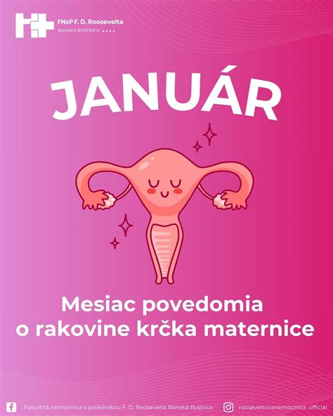 Ilustrácia ženského reprodukčného systému s detailom krčka maternice