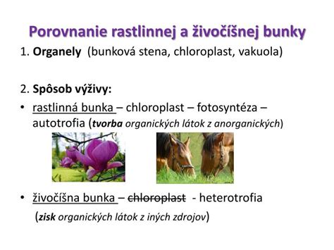Porovnanie environmentálnej stopy živočíšnej a rastlinnej výroby