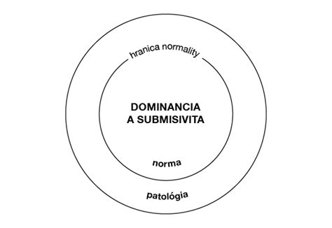 Vizualizácia sexuálnych preferencií: Dominancia vs. Submisivita