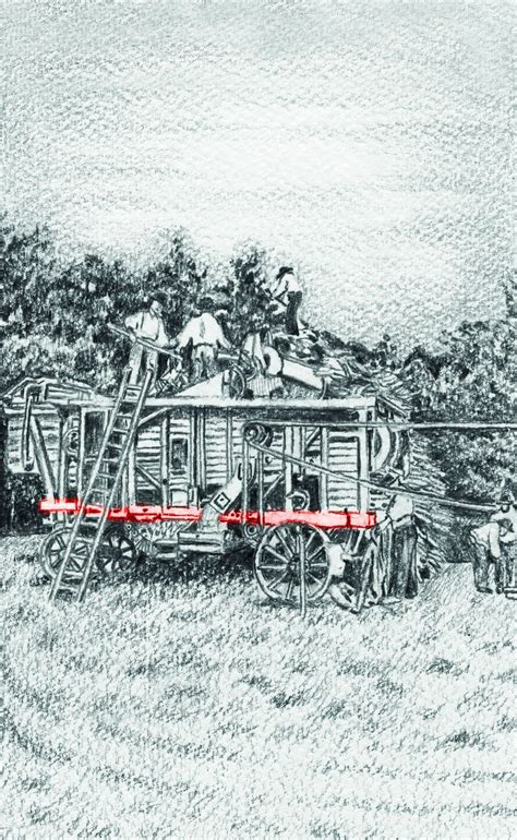Ilustrácia svedkovho 