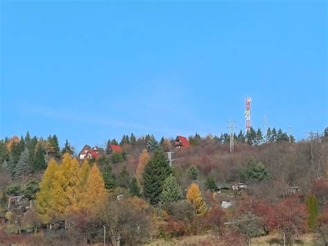 Ruka podávajúca pomocnú ruku