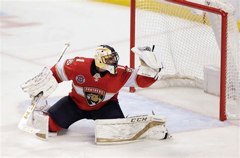 Brankár Roberto Luongo