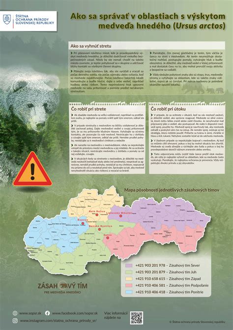 Infografika o medveďoch