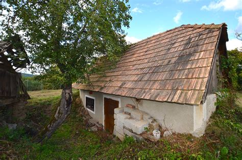 Ilustračná fotografia vinohradu s tradičným viničným domčekom