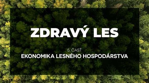 Ilustrácia udržateľného lesného hospodárstva