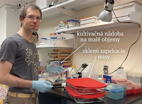 Študenti pri práci v laboratóriu