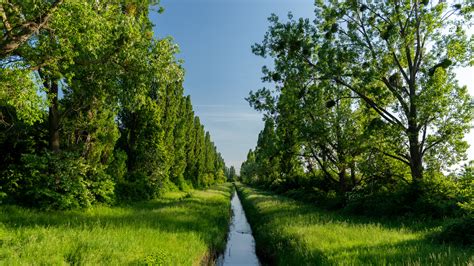Prírodná rezervácia S'Albufera