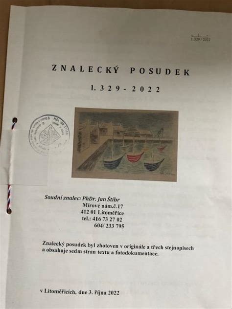 Ilustrácia znaleckého posudku