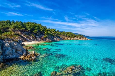 Obraz pláže na Chalkidiki s tyrkysovou vodou a borovicami