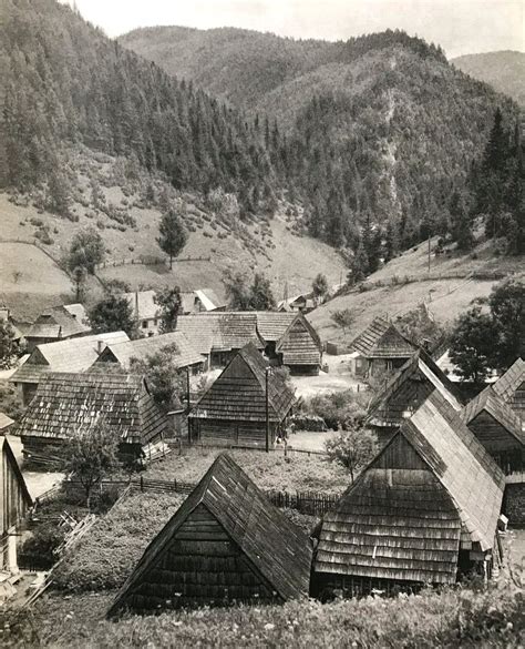 Ilustračná fotografia pokojného vidieckeho prostredia s lesom v pozadí