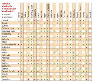 Ilustrácia rôznych druhov zeleniny a byliniek vhodných pre osmáka degu